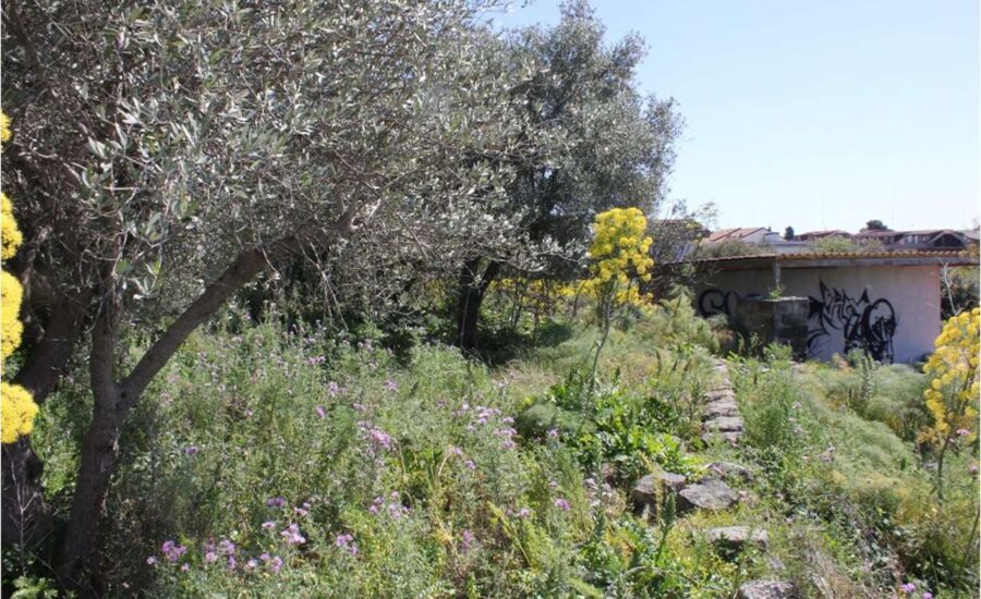 Gravina terreno 3150mq. per impianti sportivi